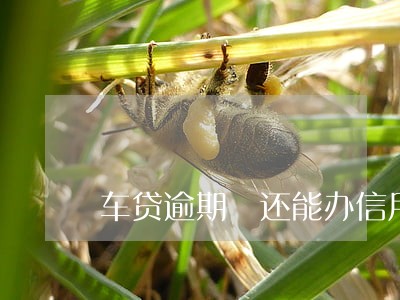 车贷逾期 还能办信用卡吗 车贷逾期 还能办信用卡吗